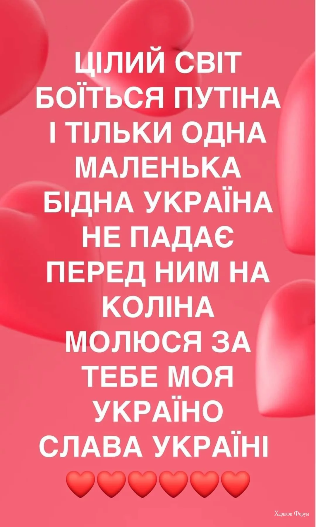 fc7c0b57f991197dd224f6.webp