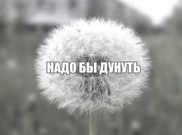 fc7dhh.webp