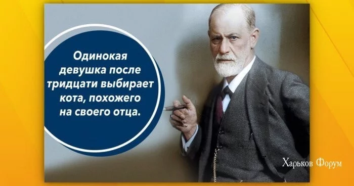 fc813f1754e866bd48ea.webp