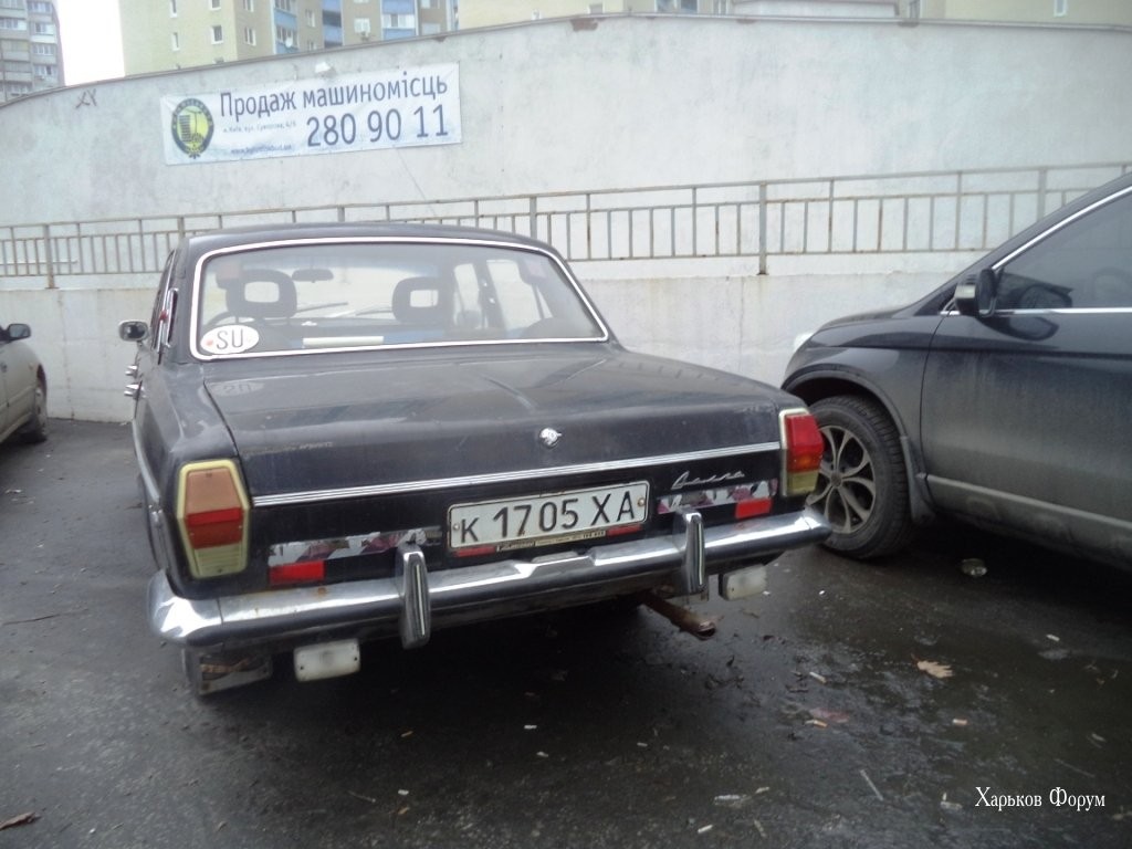 fc9bf20cbe0719b4663338.jpg
