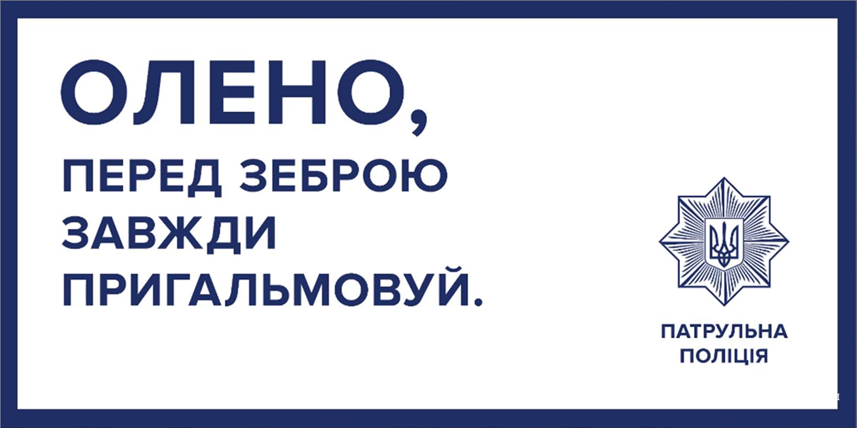fc9cd934bfc4b2bb6d44929c.png