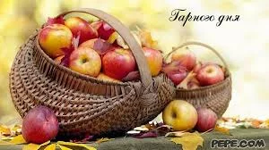 fcaf8j.webp