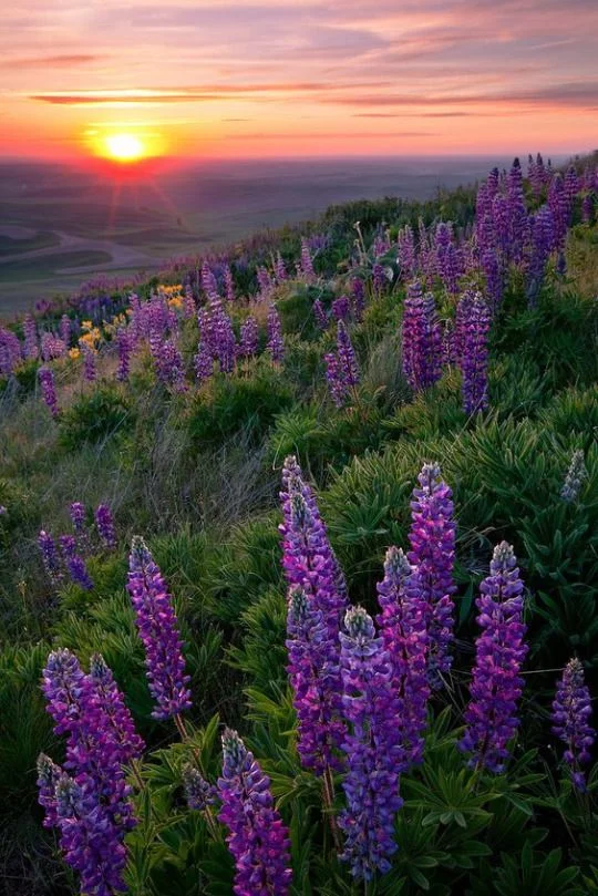 fcbh6d.webp