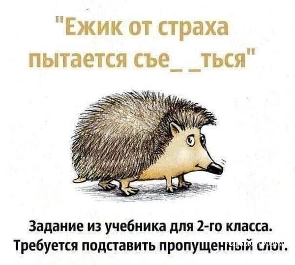 fcce2a55e87086c0c47.webp
