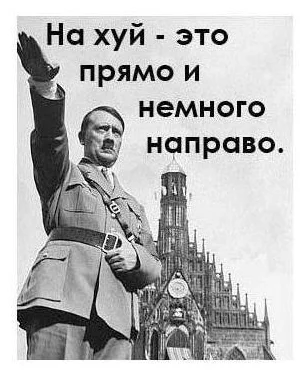 fccj0g.webp