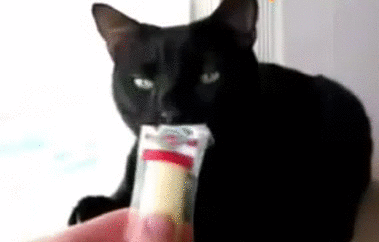 fce1fb.gif