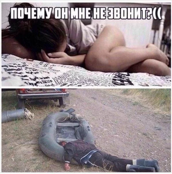 fce5fb.webp