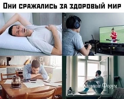 fceca9dddc228c8db1.webp