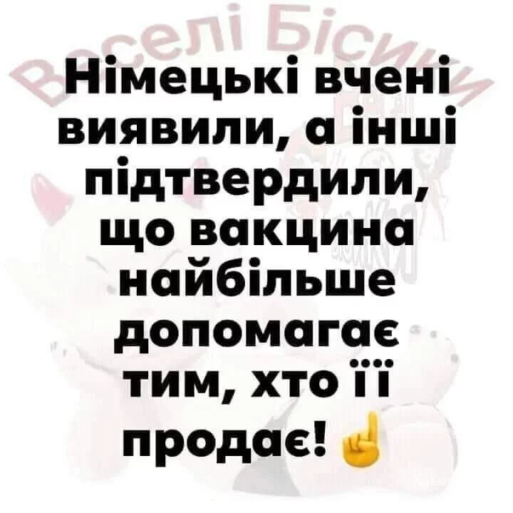 fcf06207d81289b63f.webp