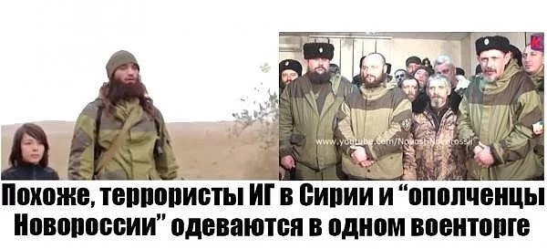fcghg5.webp