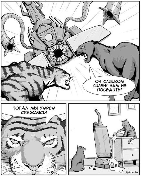 fcgj3f.jpg