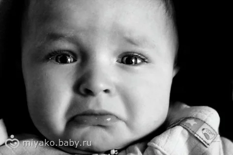 fch8gj.webp
