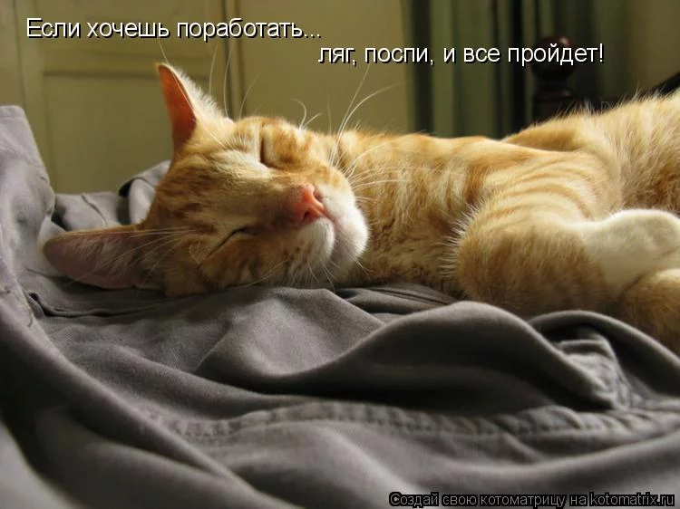 fchg4f.webp