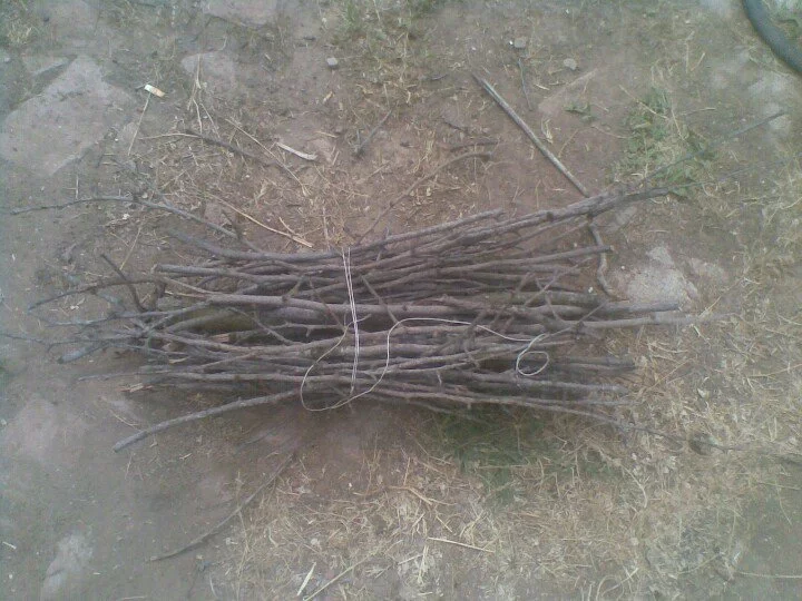 fcj0fb.webp