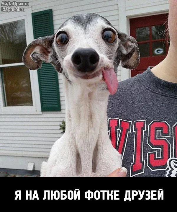 fcj2ed.webp