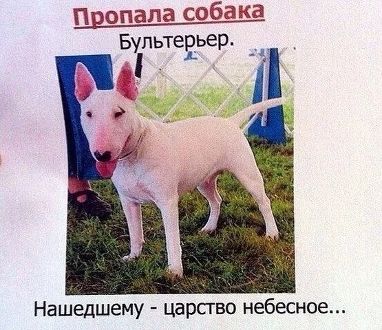 fcj3hj.webp