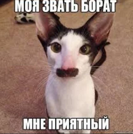 fcj4dd.webp