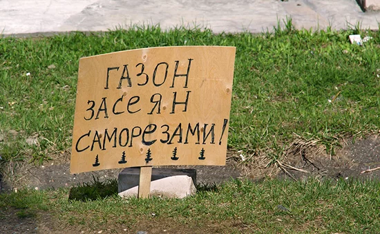 fcjf5j.webp