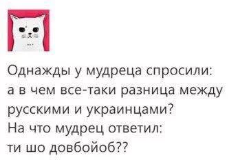 fcjgc1.webp