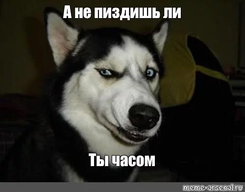 fd0bcc.webp