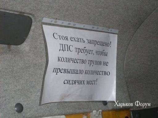 fd11a9f99b881525ea6cdf7d.jpg