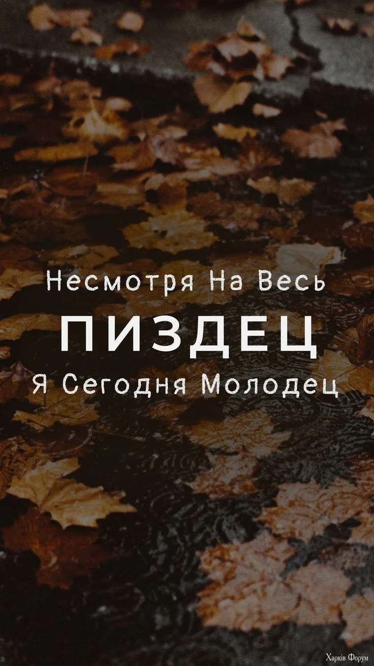 fd190f9879d5ac71c4a51d9b508af963.webp