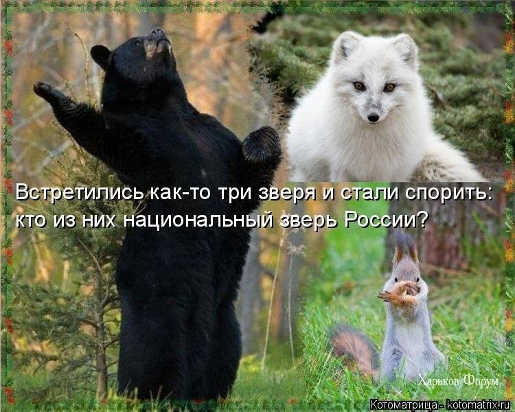 fd197cb977226a62d821d.webp
