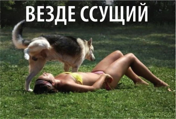 fd26684ccfbb19fb6910d17d38b68a7d.webp