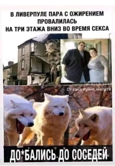fd31d97f8dd03b68e.webp