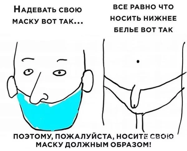 fd31e719453ba053c4.webp