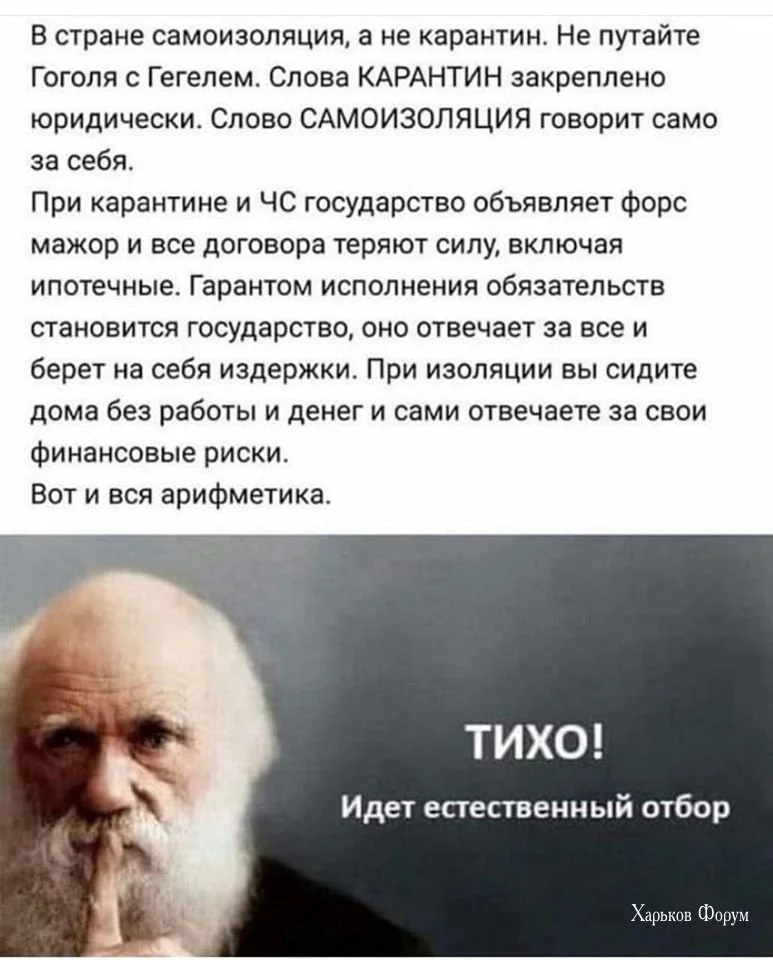 fd352a3d02dff056.webp