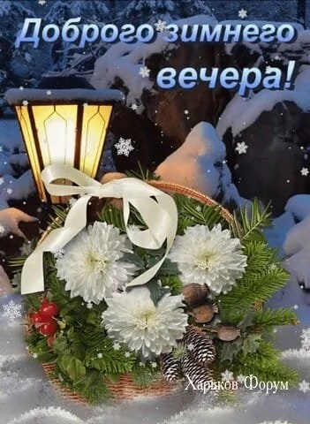 fd36ab81406767b2ff2.webp
