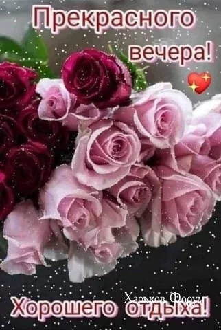 fd3f9f16d347fb152.webp