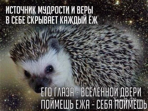 fd4491dc7ca86b779c1.webp