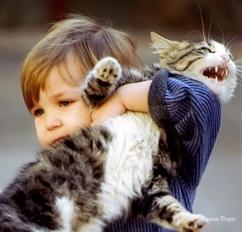 fd5d1f3c72ba5cb93c196fb8.webp