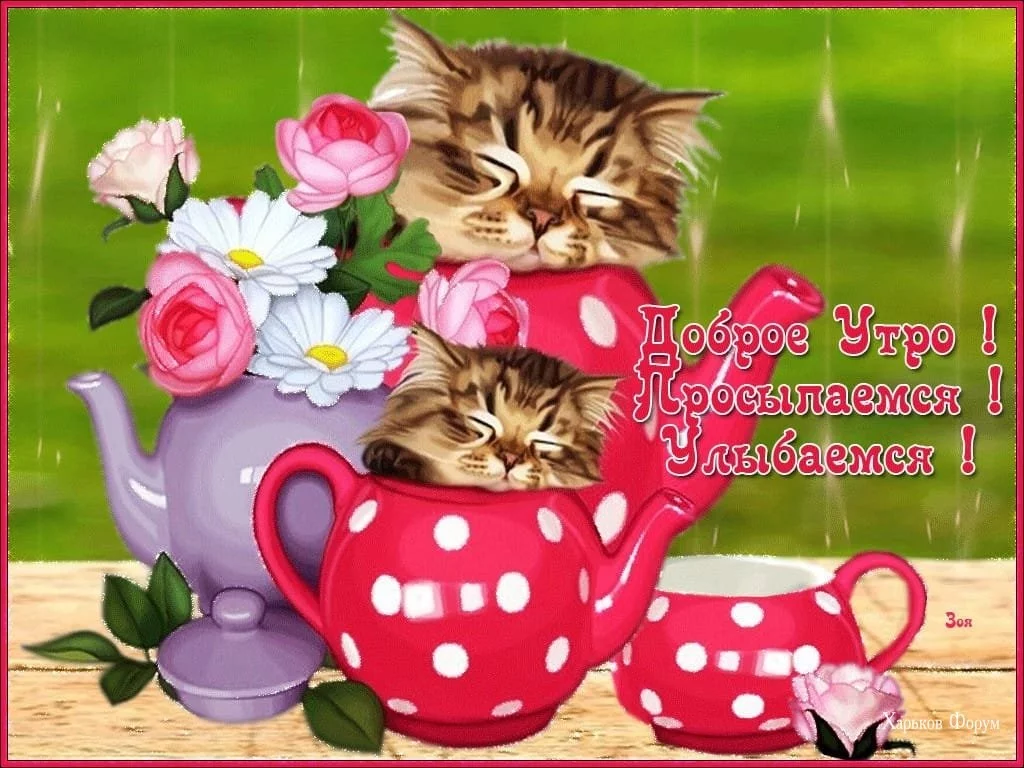 fd5d322becaf06f23.webp