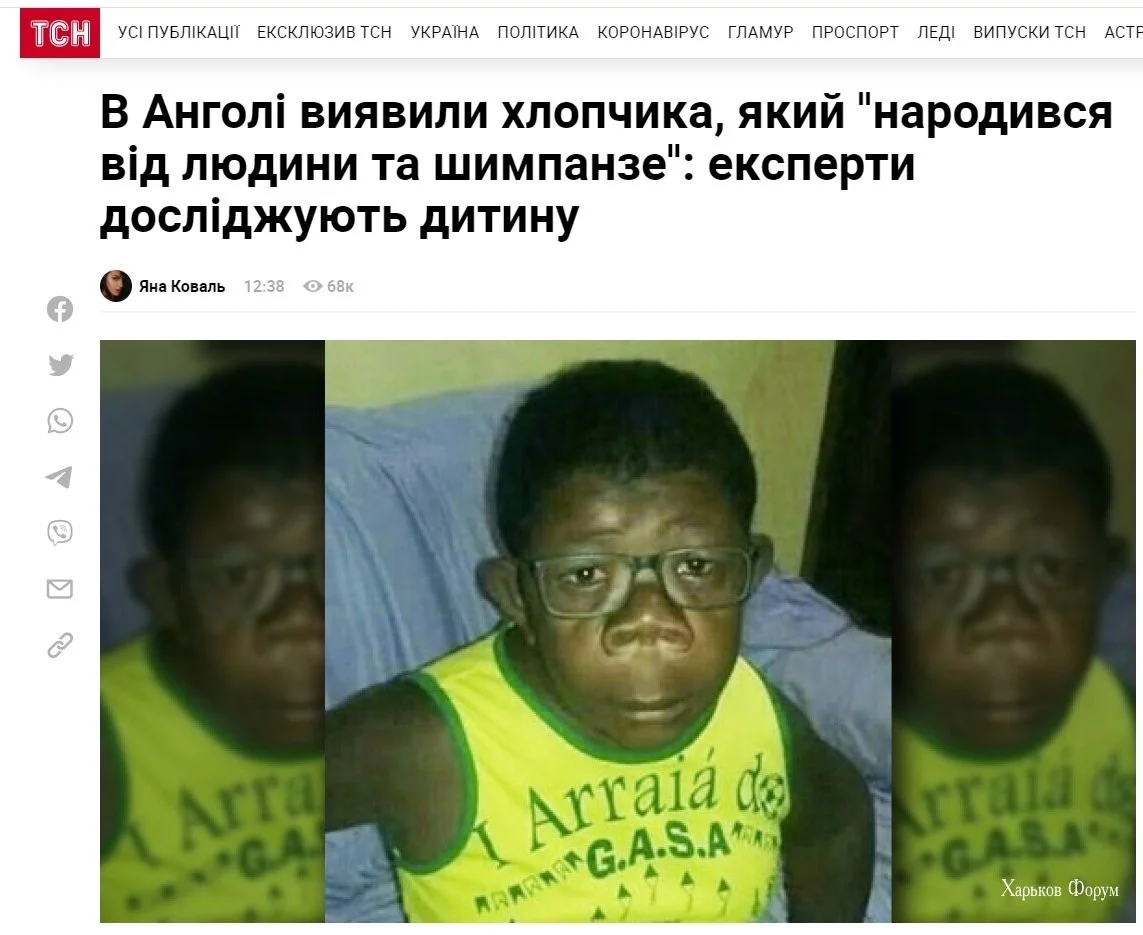 fd639d97563e66ed60.webp