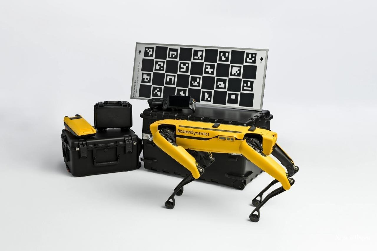 fd805f6ad5ece359c86.jpg