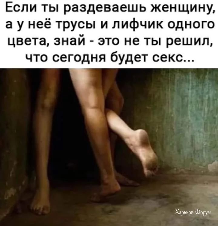 fd88d62d837c5b20220.webp