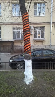 fd9gdf.jpg