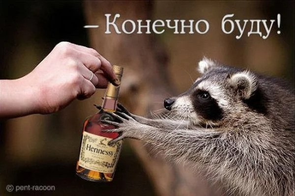 fd9hhh.webp
