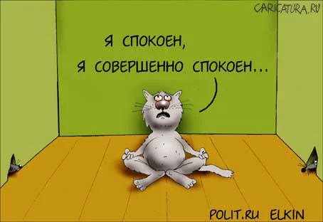 fda4bh.webp