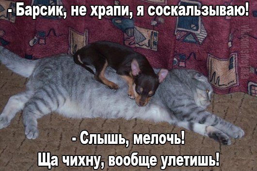 fdae9c471d63bb43a325096421c18f84.jpg