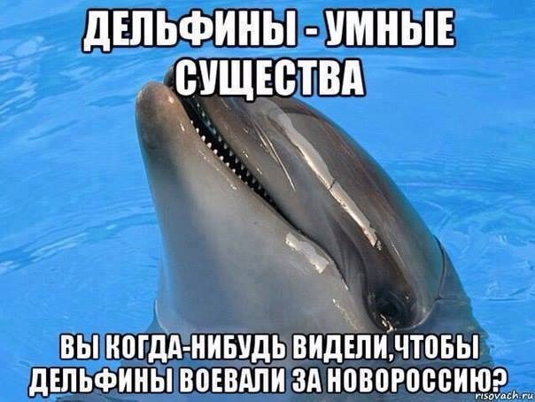 fdb7ad.jpg