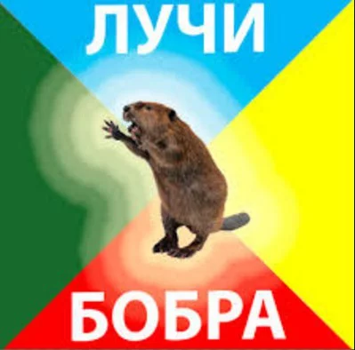 fdbb8g.webp