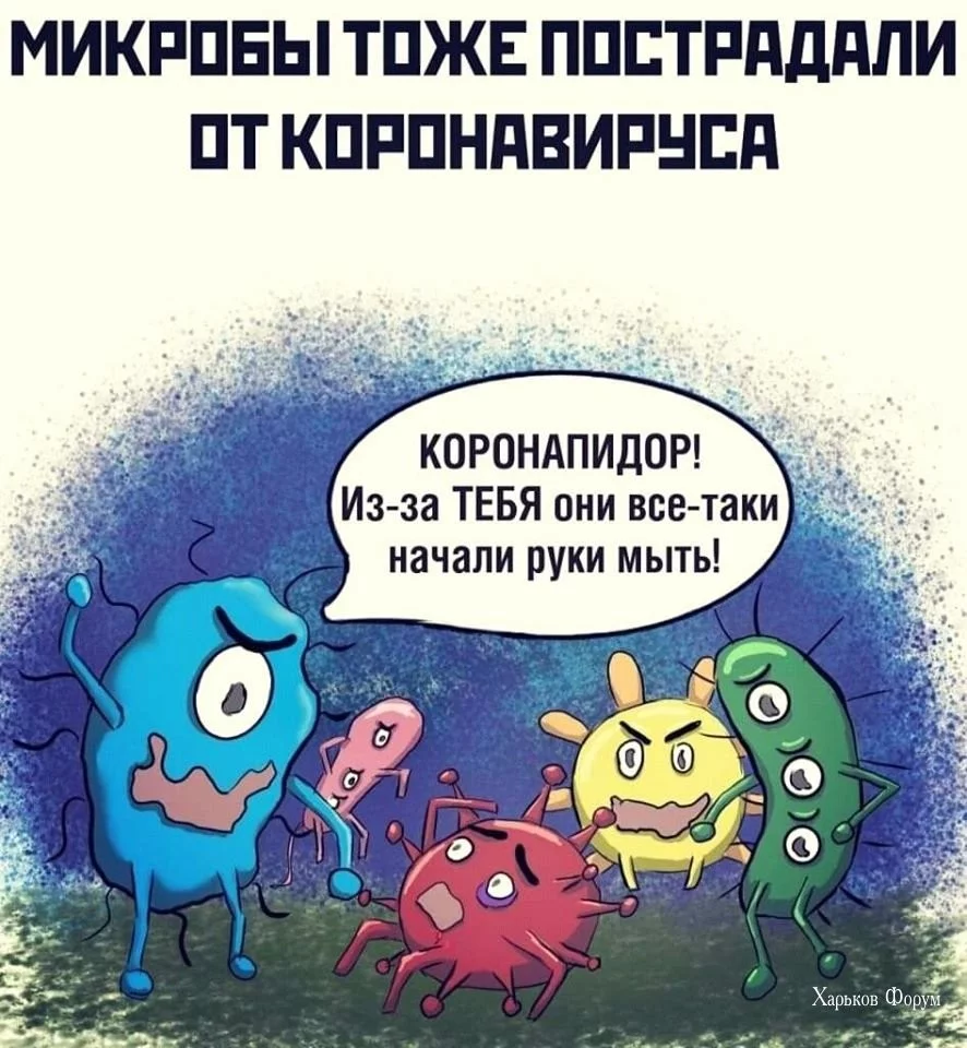 fdbf26f96f0039f891af260d.webp