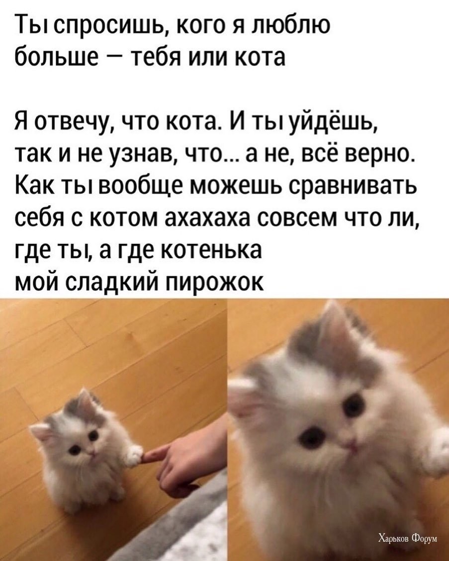 fdc01c87e2b3db3af6a.jpg