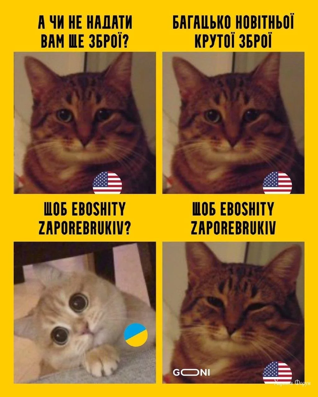 fdc01e02c95d50e2ca32494.webp
