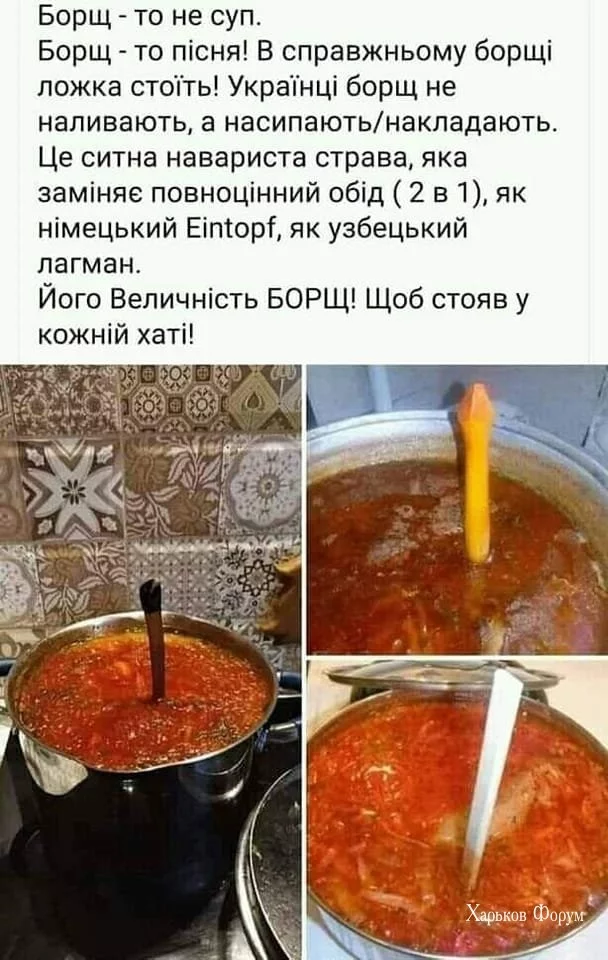 fdc90f7f68fcd012.webp
