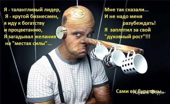 fdccd3174fcfa6993a.webp